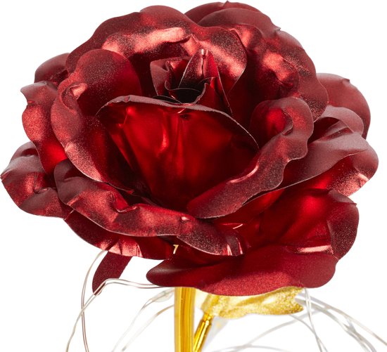 Rose Éternelle Sous Cloche Avec Lumière - Cadeau Romantique La Belle Et La Bête Pour Femmes