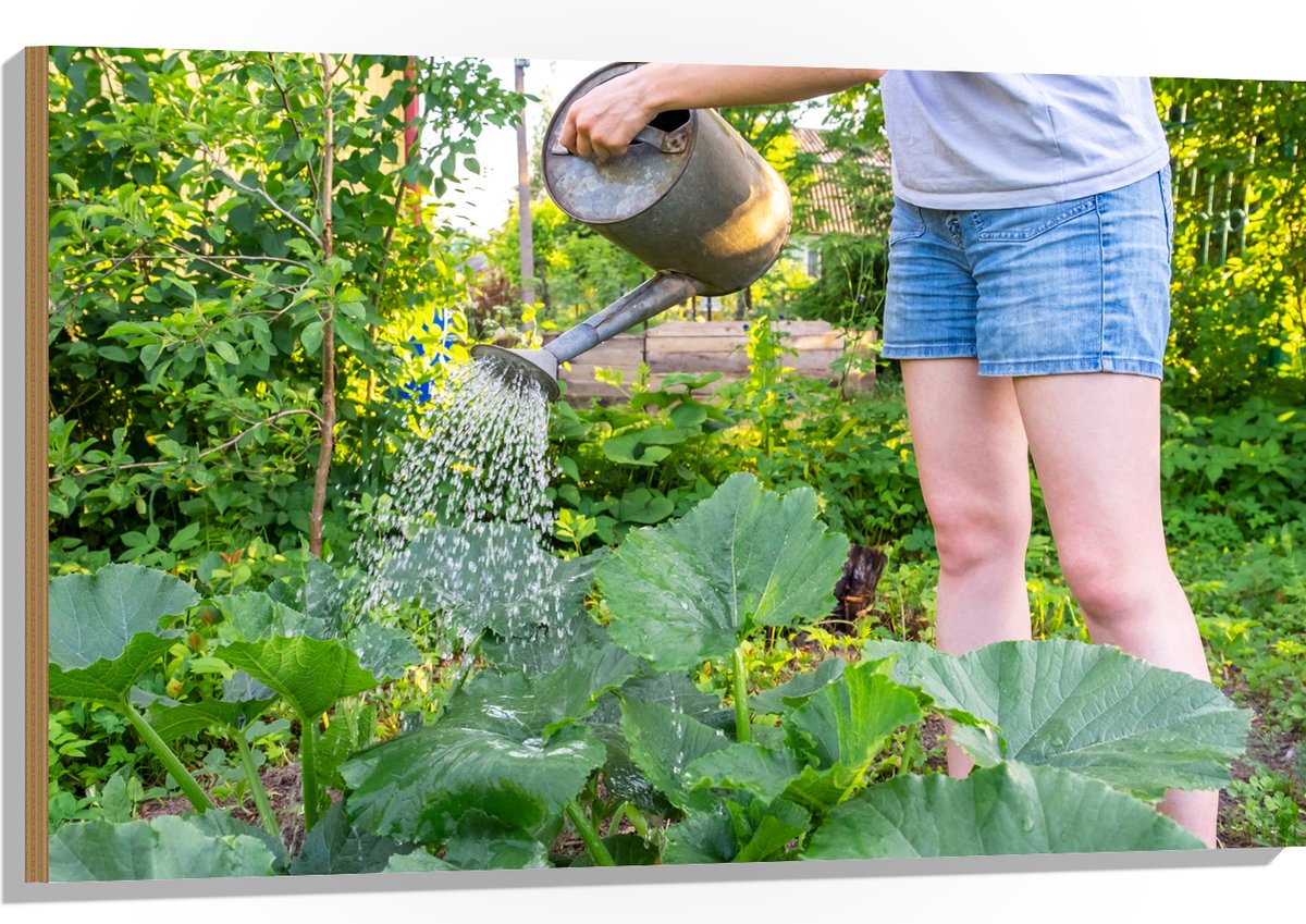 Hout - Tuin - Bloemen - Planten - Gieter - Water - Groen - 105x70 cm - 9 mm dik - Foto op 