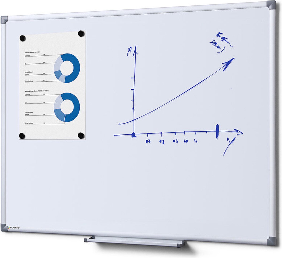 Scritto® Economy Whiteboard 90 X 60 cm - WBNECS90X60