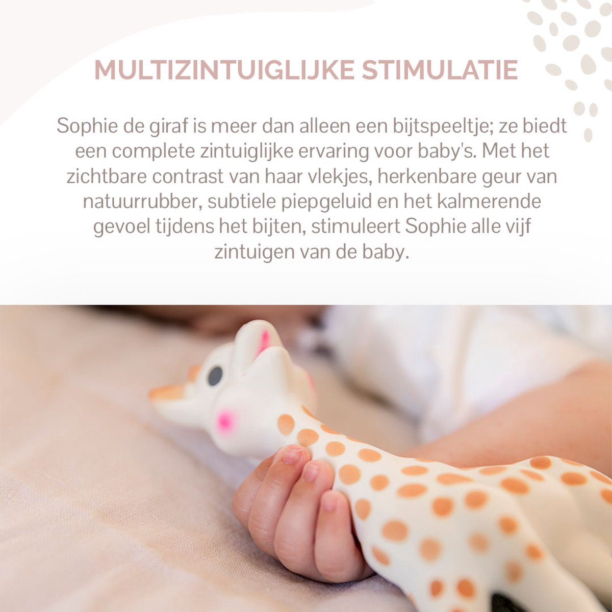 Sophie de giraf So'Pure - Bijtspeeltje - Bijtspeelgoed - Baby speelgoed - OK-Biobased - In gerecyled geschenkdoosje met organic katoenen strikje - 100% natuurlijk rubber - Vanaf 0 maanden - 17 cm - Beige/Bruin — afbeelding 4