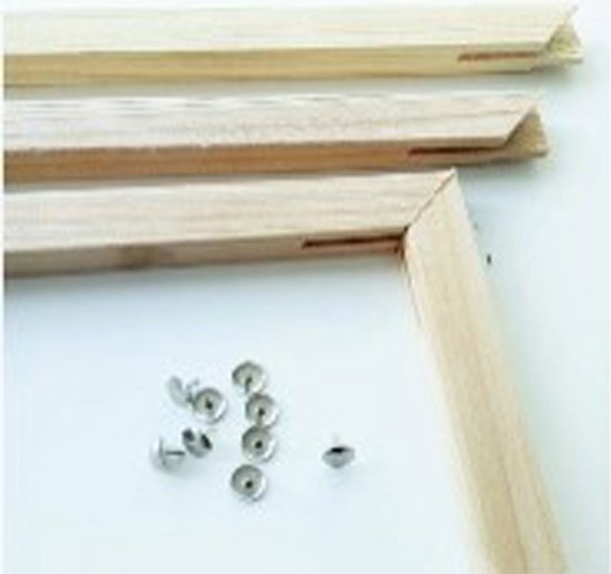 DIY Lijst - Los Frame - Diamond Painting & Schilderen op Nummer - Hout - 40x50cm