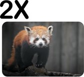 BWK Flexibele Placemat - Rode Panda - Dier - Bos - Boomstam - Set van 2 Placemats - 45x30 cm - PVC Doek - Afneembaar
