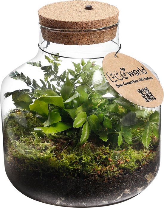 URBANJNGL - Fat Joe Red - Planten terrarium met licht - DIY kit