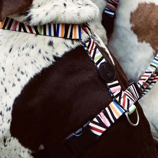 Harnais pour chien Morso Harnais en H Incident de spaghetti recyclé