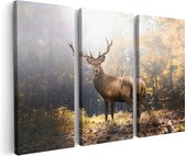 Artaza Canvas Schilderij Drieluik Hert Staand in een Herfstbos - 120x80 - Foto Op Canvas - Canvas Print