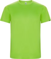 Limoen Groen unisex ECO CONTROL DRY sportshirt korte mouwen 'Imola' merk Roly maat S