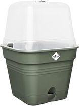 Elho Green Basics Kweekpot Vierkant Allin1 30 - Kweekbak met Deksel - 100% Gerecycled Plastic - Ø 29.6 x H 24.9 cm - Blad Groen