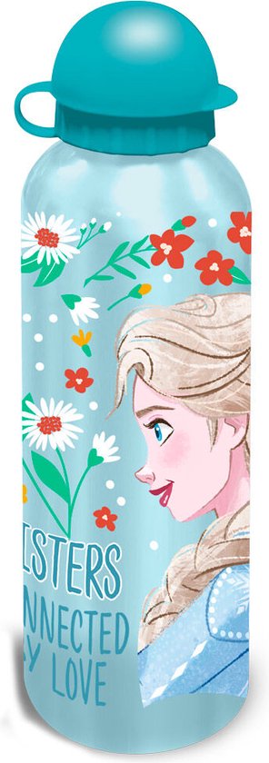 Disney Frozen Aluminium Drinkfles / Schoolfles / Schoolbeker - 500 ml. (1 stuks)