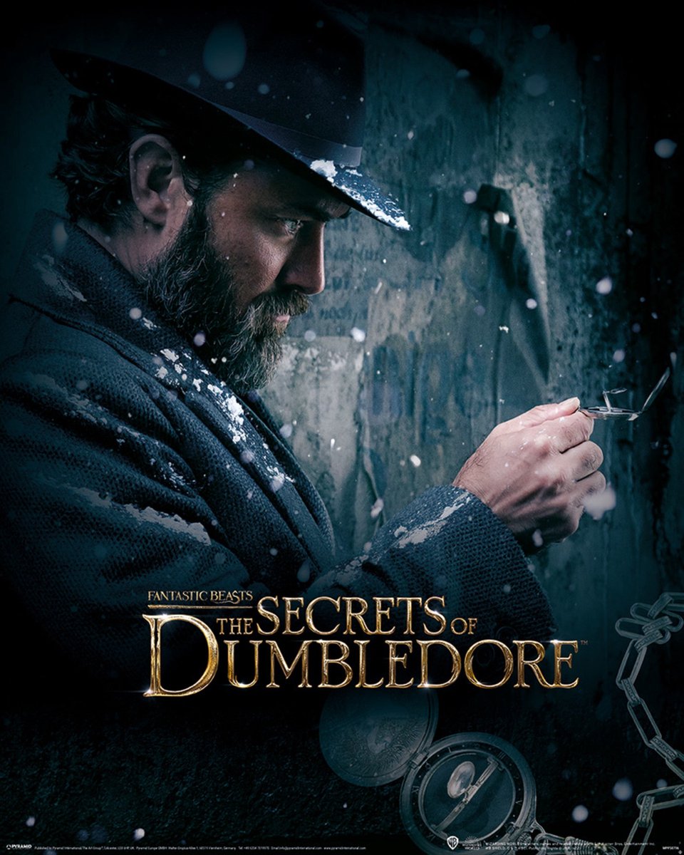 Pyramid Fantastic Beasts The Secrets of Dumbledore Poster 40x50cm Multi color