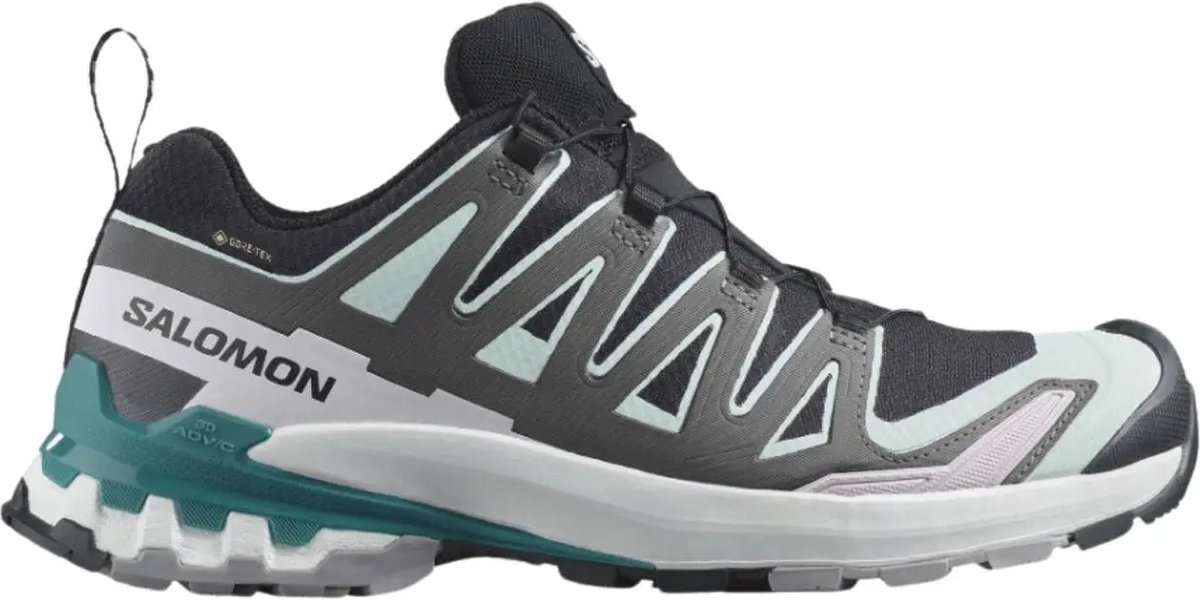 Salomon XA Pro 3D V9 GTX Wandelsneakers Dames dessin 37 Zwart