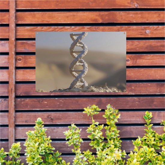 DNA-model poster - Wetenschap poster - Tuinposters Rots - Balkon decoratie - Schutting poster - Decoratie tuin tuinposter 120x80 cm