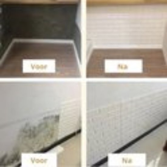 viva domo - Tuinstekers Glinsterende sterrendroom, 3 stuks