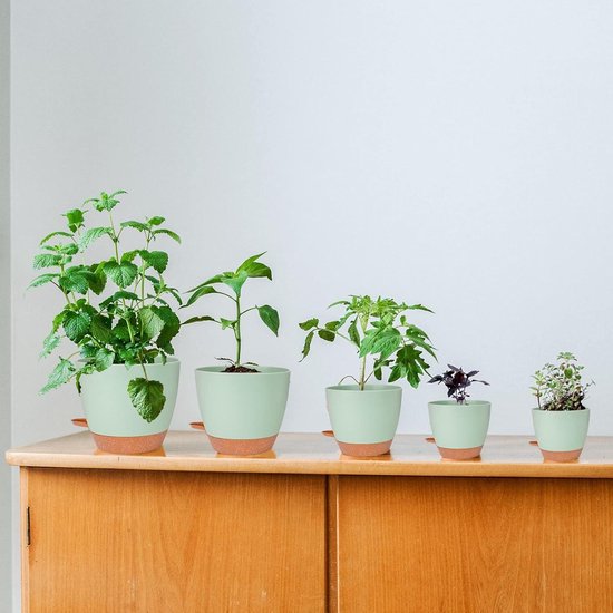 Plastic plant - Kweekmaterialen kopen? | Korting tot 48
