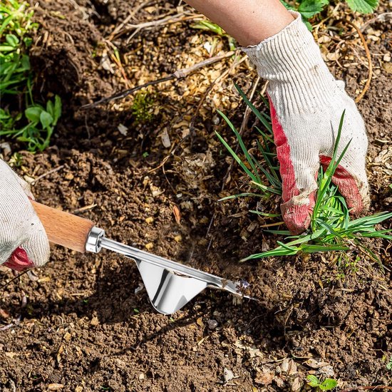 Allecto - Onkruidsteker - Handwiedapparaat - Roestvrij staal - Houten handvat - Tuinhand - Ideaal voor wieden - Geschikt voor tuinliefhebbers van Merkloos	 — afbeelding 3