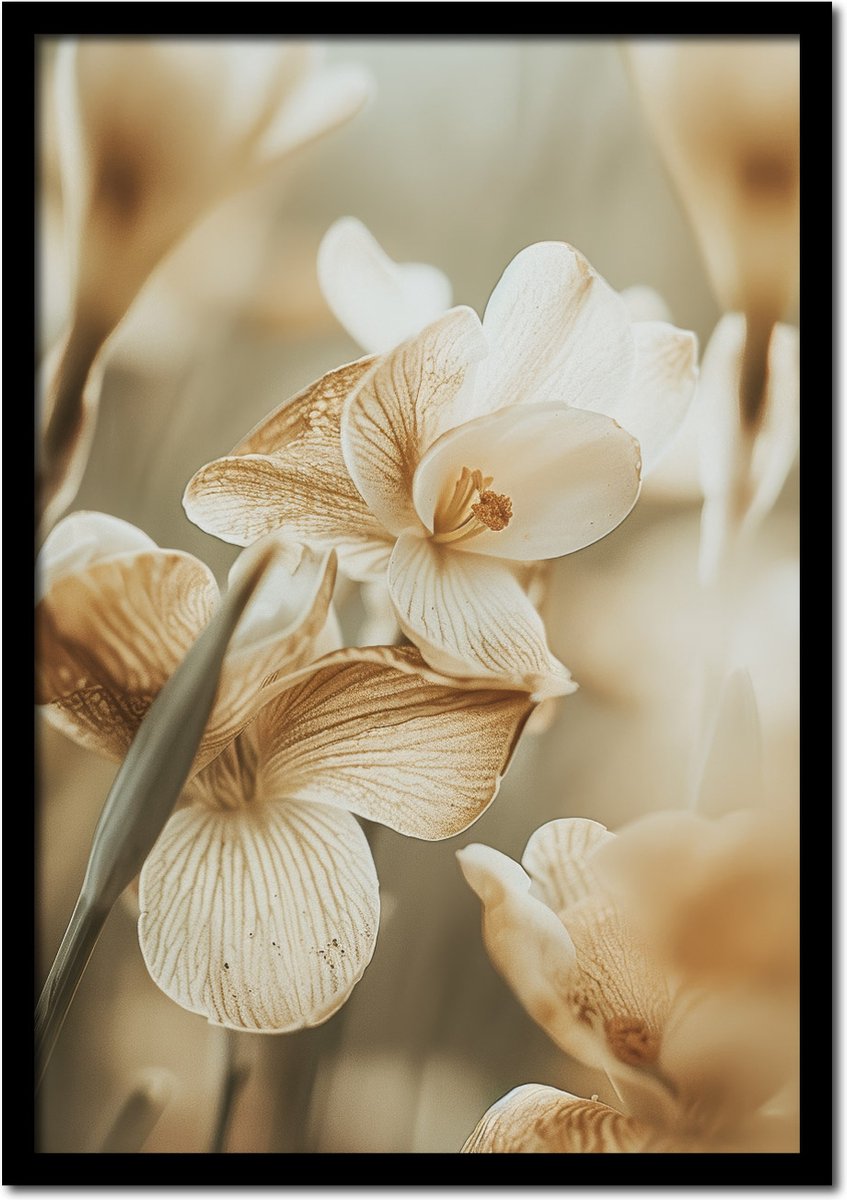 Plakkers Poster close up van witte bloemen in bloemenveld - 30cm x 40cm - vintage - woonkamer - slaapkamer - bloemen posters - goedkoop - muurposter - natuur - wanddecoratie Full-colour