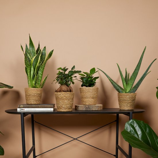 Bloomique - Lot de 4 - Cache-pots Maki - Pots de fleurs - Fabriqués en jonc de mer durable - Hauteur 13 cm - Ø13 cm