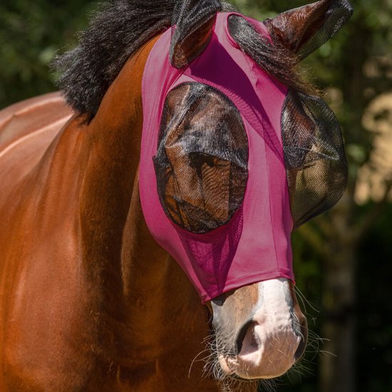 Bruine paard met roze vliegenmasker met gaas ogen en oren.