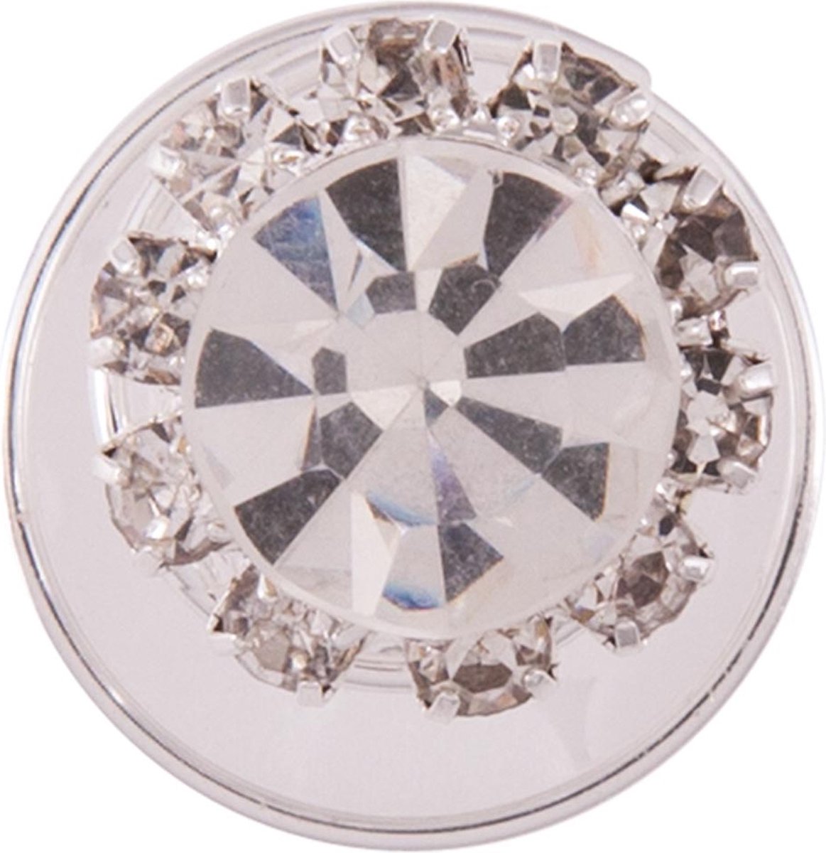 BR Knotspiraal BR Crystal Horse 1.2cm set/5st. One Size Zilver