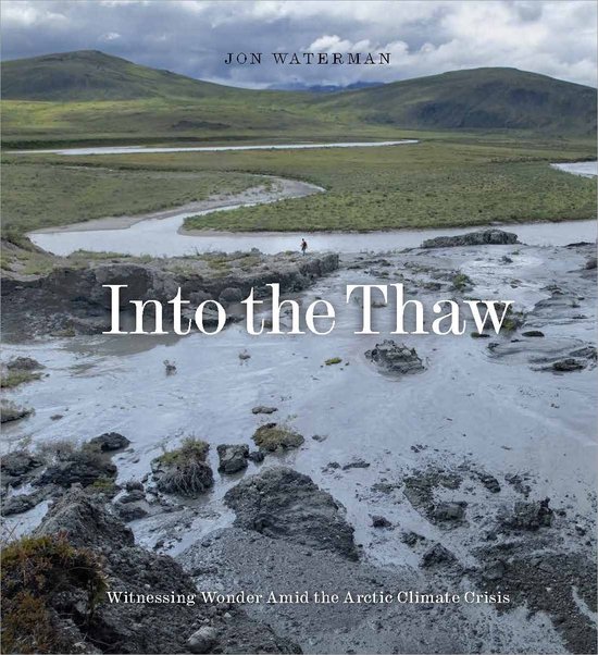 Into the Thaw - cover