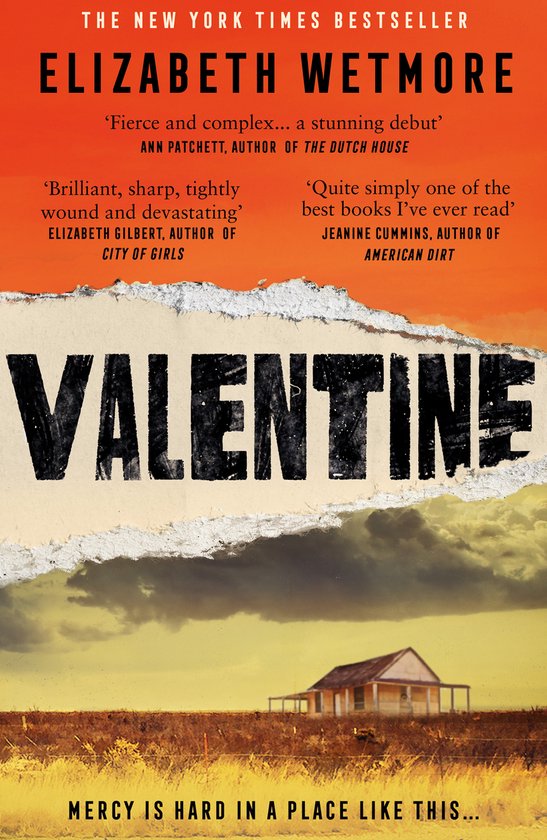 Valentine A Stunning Debut and a New York Times Bestseller - cover