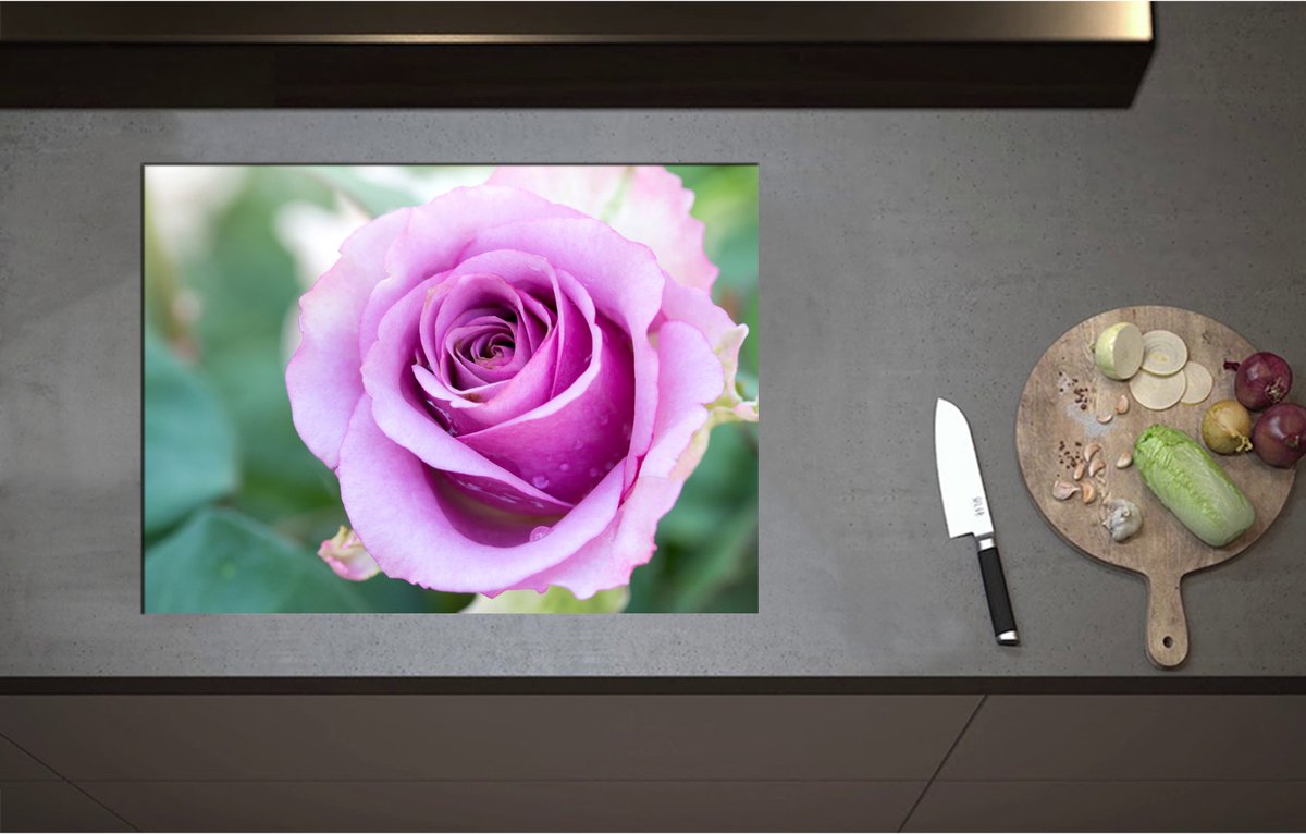 Inductieplaat Beschermer - Close Up van Mooi Bloeiende Paarse Roos - Bloemen - 71x52 cm - 2 mm Dik - Inductie Beschermer - Bescherming Inductiekookplaat - Kookplaat Beschermer van Wit Vinyl
