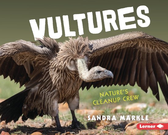 Animal Scavengers in Action - Vultures