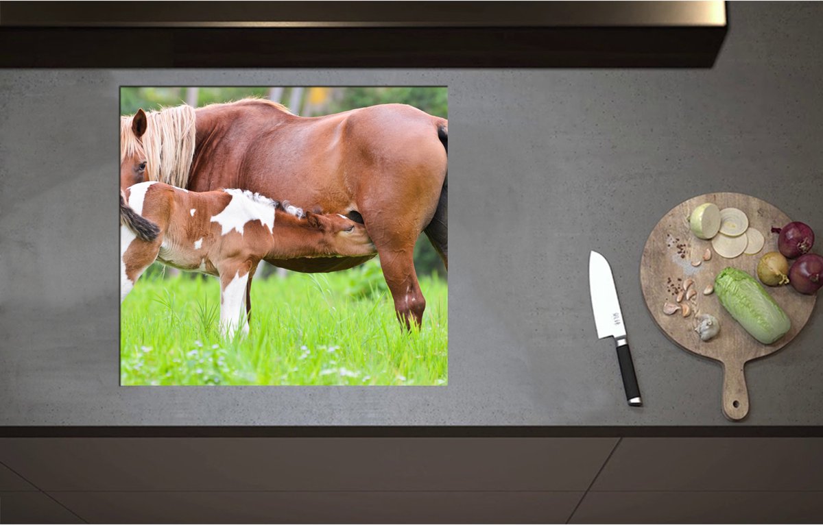 Inductieplaat Beschermer - Bruin met Wit Gevlekt Veulentje Drinkend bij Moeder in het Grasveld - 60x55 cm - 2 mm Dik - Inductie Beschermer - Bescherming Inductiekookplaat - Kookplaat Beschermer van Wit Vinyl