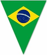 Décoration Ligne drapeau Brésil 5 m
