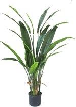 Strelitzia Kunstplant 160cm