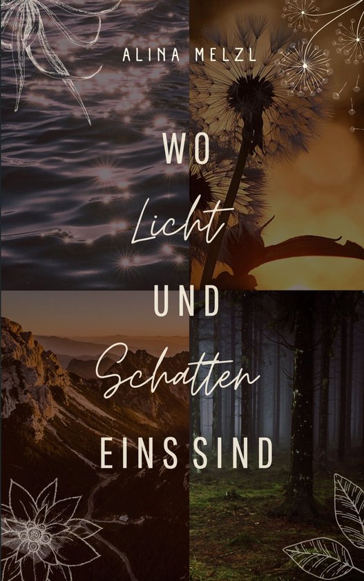 Twin Elements - Wo Licht und Schatten Eins sind - cover