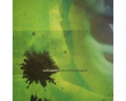 Eiafuawn - Birds In The Ground (CD)