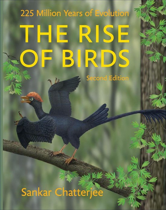 The Rise of Birds - cover
