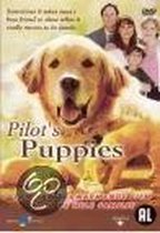 Pilots Puppies