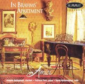 In Brahms' Apartment