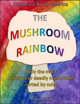 The Mushroom Rainbow