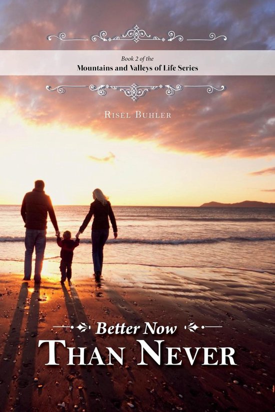 Better Now Than Never - Mountains and Valleys of Life - cover