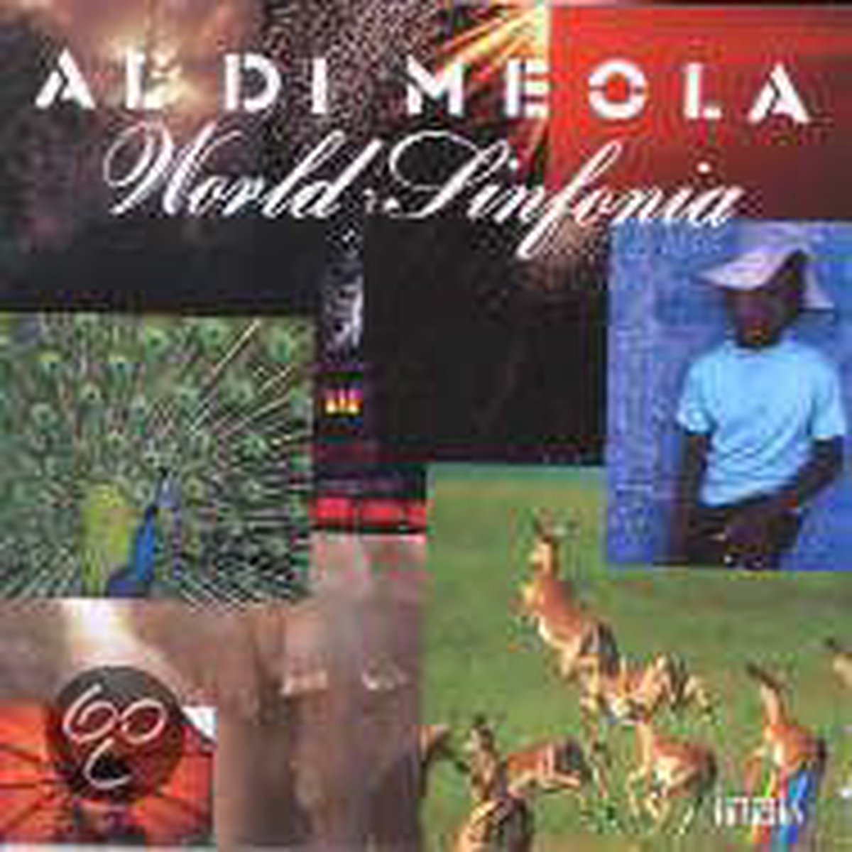 World Sinfonia