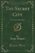 The Secret City