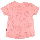Babyface Meisjes T-shirt - Roze - Maat 50