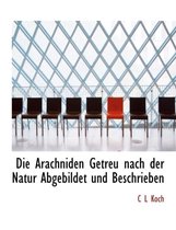 Die Arachniden Getreu Nach Der Natur Abgebildet Und Beschrieben