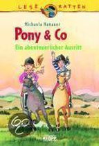 Pony & Co 03. Ein abenteuerlicher Ausritt
