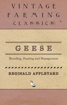 Geese - Breeding, Rearing and Management