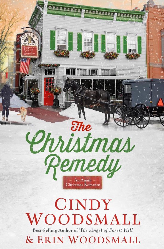 The Christmas Remedy - cover
