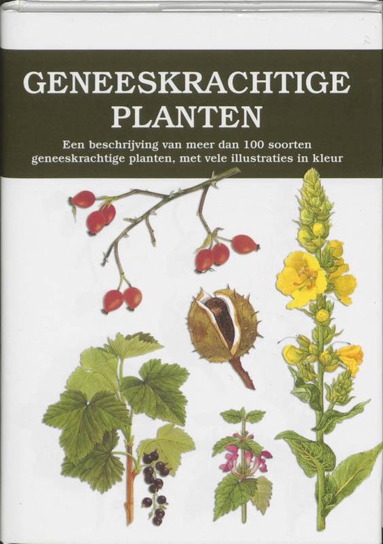 Geneeskrachtige Planten - Frantis̆ek Starý | Respetofundacion.org