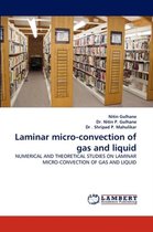 Laminar Micro-Convection of Gas and Liquid
