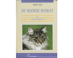 De noorse boskat als gezelschapsdier Image