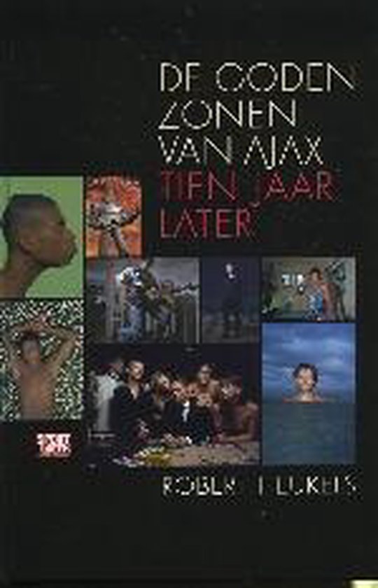 Cover van het boek 'De godenzonen van Ajax'
