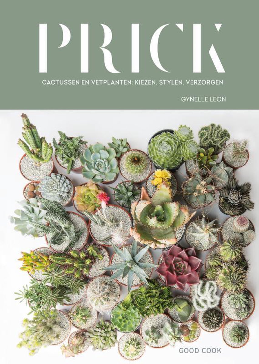 Prick - cactussen en vetplanten: kiezen, stylen, verzorgen - Gynelle Leon