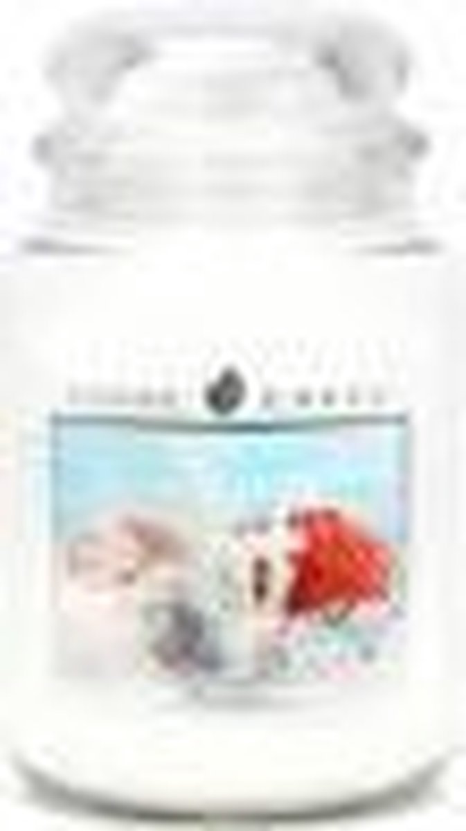 Goose Creek White Coral Large Jar 150 branduren wit