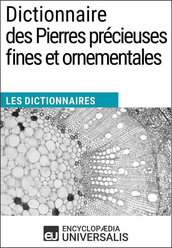 Dictionnaire des Pierres précieuses fines et ornementales - cover
